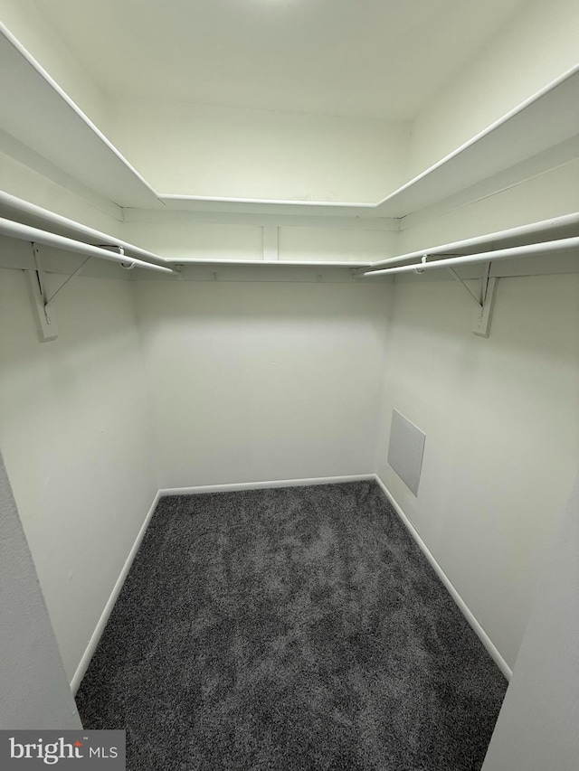 10224 Prince Pl Unit 12-307, Upper Marlboro, MD 20774 - walk in closet featuring carpet flooring