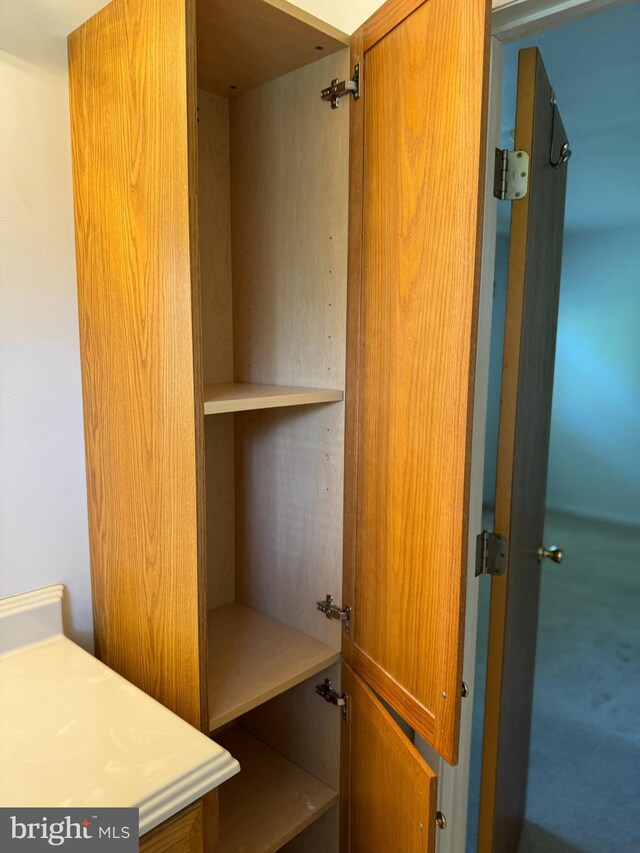 view of closet