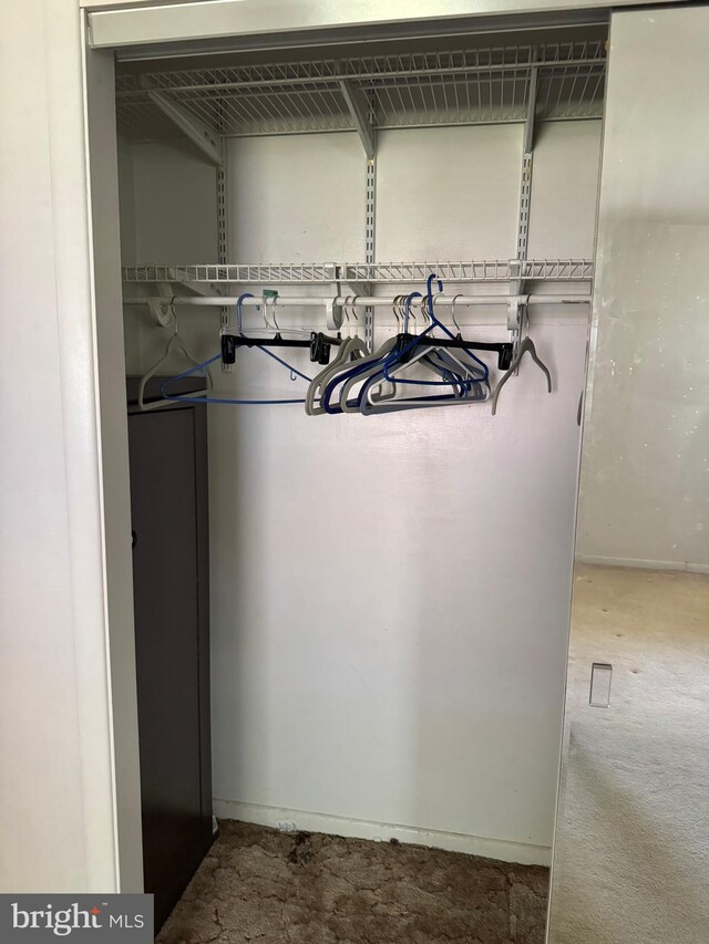 view of closet