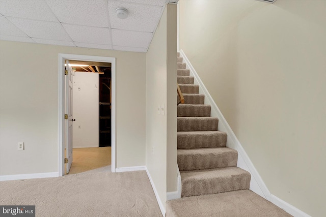 stairs featuring baseboards, carpet flooring, and a drop ceiling
