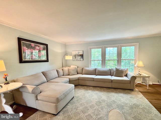 1282 Masters Dr Unit 190, Arnold, MD 21012 - living room featuring crown molding, wood finished floors, and baseboards