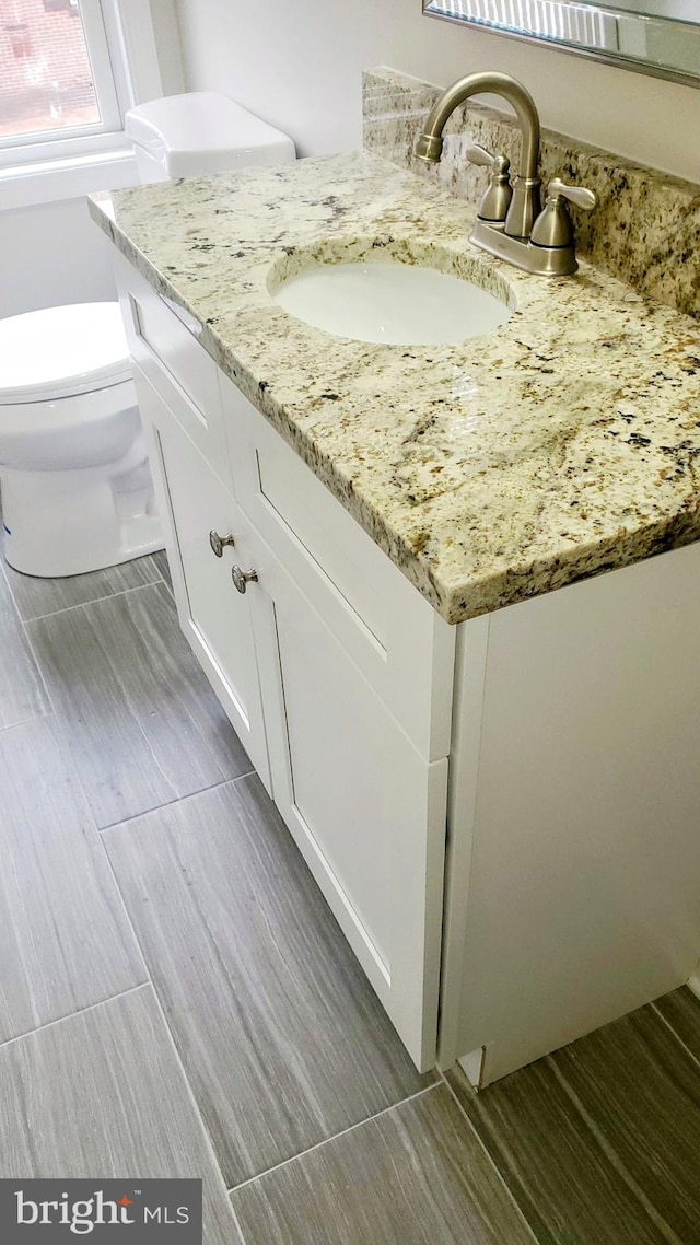 bathroom with vanity, toilet, and wood finished floors