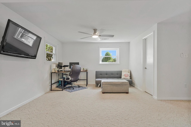 305 W Poplar Rd, Sterling, VA 20164 - office space featuring carpet floors, a ceiling fan, and baseboards