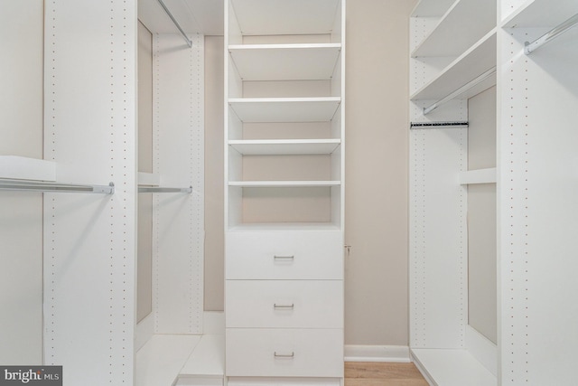 view of spacious closet