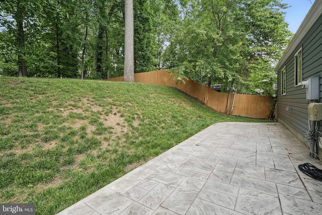 view of yard with a patio