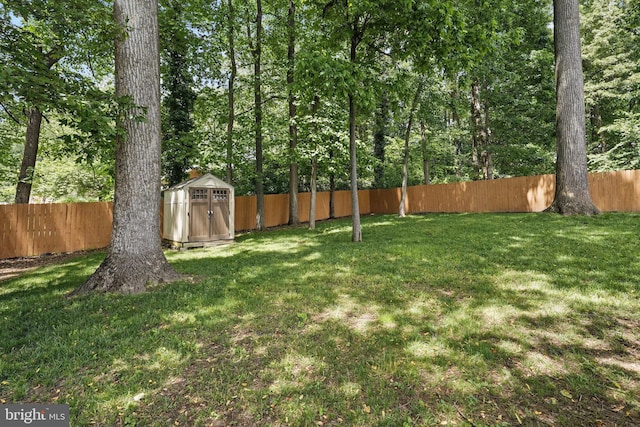 view of yard with a shed and an outdoor structure