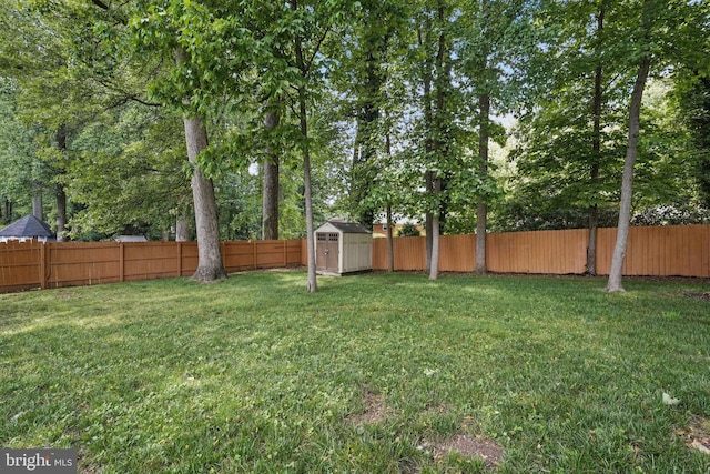 view of yard featuring a storage shed and an outbuilding