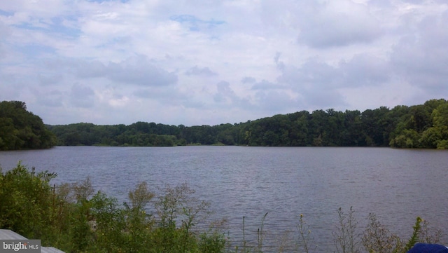 water view featuring a forest
