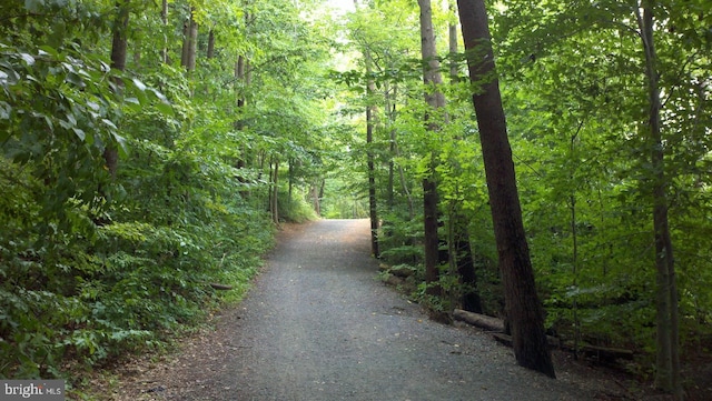 view of street with a forest view