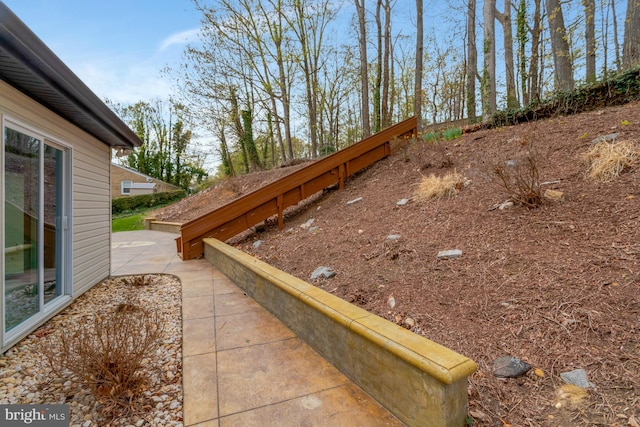 view of yard with a patio