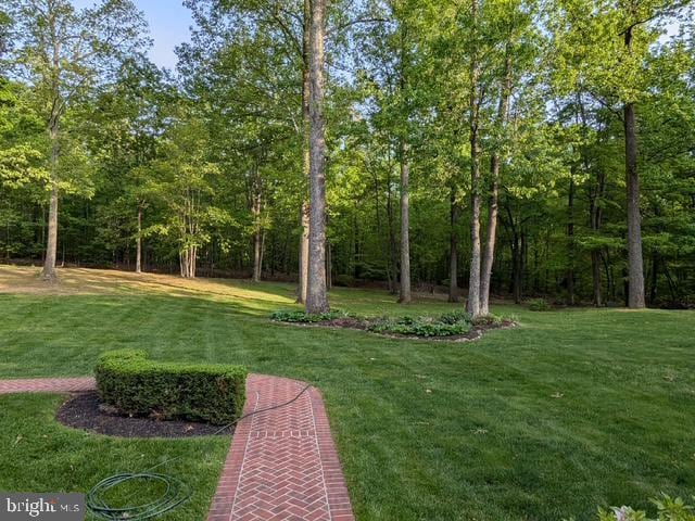 view of green lawn