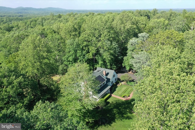 bird's eye view of a forest