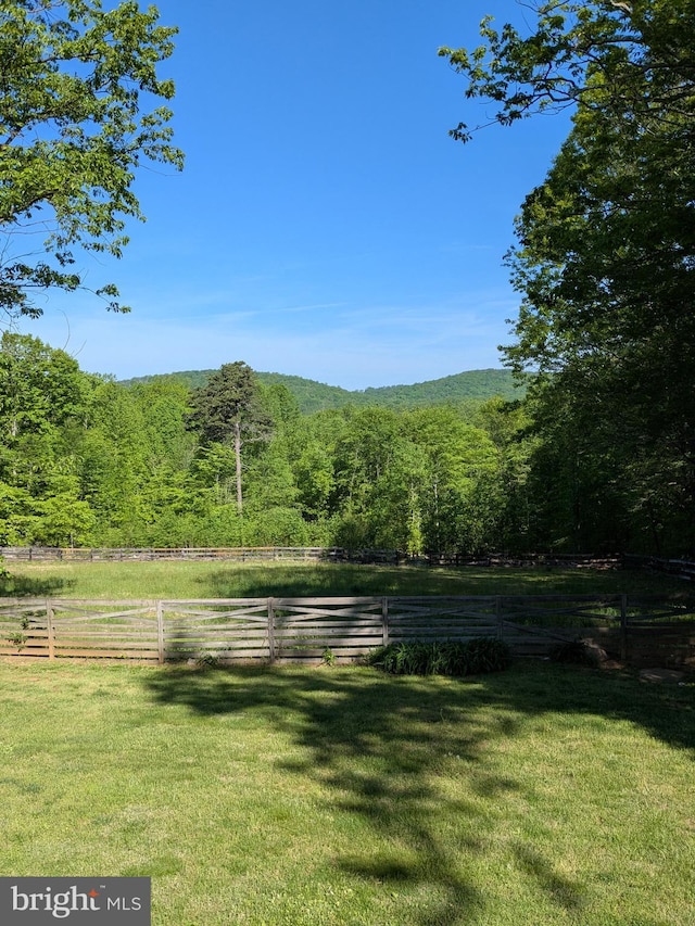view of yard featuring a view of trees