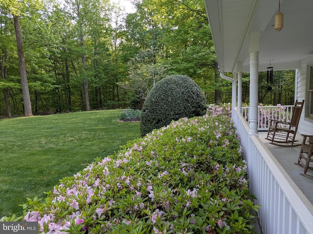 view of green lawn with a porch