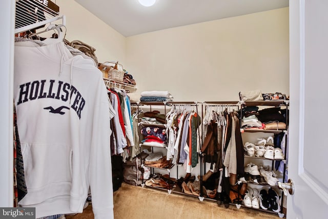 spacious closet with carpet floors