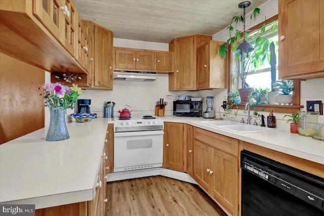 kitchen featuring light wood-type flooring, black appliances, under cabinet range hood, light countertops, and a sink