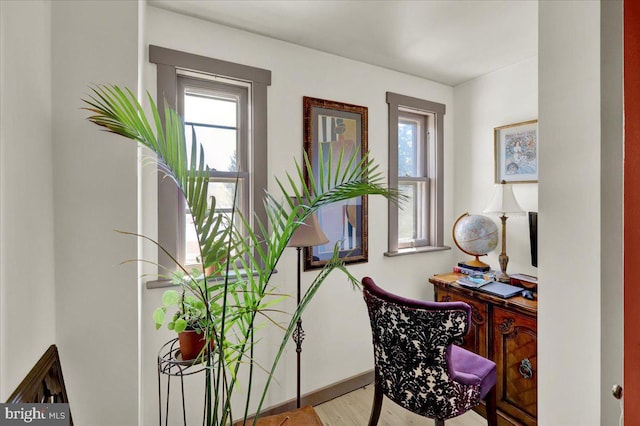 office featuring baseboards, plenty of natural light, and wood finished floors