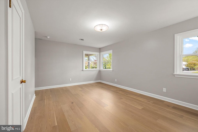 210 N Main St, Berlin, MD 21811 - unfurnished room with baseboards, light wood-style flooring, and a wealth of natural light