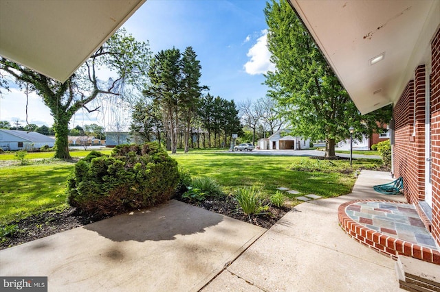 210 N Main St, Berlin, MD 21811 - view of yard