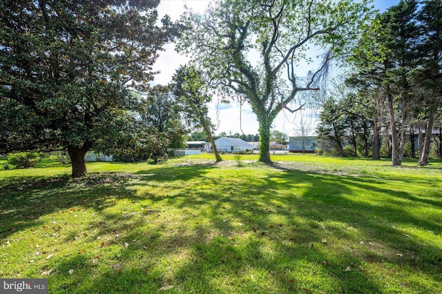 210 N Main St, Berlin, MD 21811 - view of yard