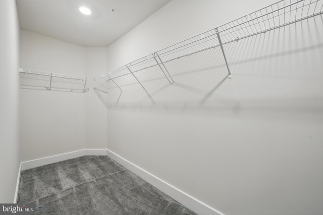 8504 Wendy St, Clinton, MD 20735 - spacious closet featuring dark carpet