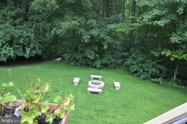 view of yard featuring a fire pit