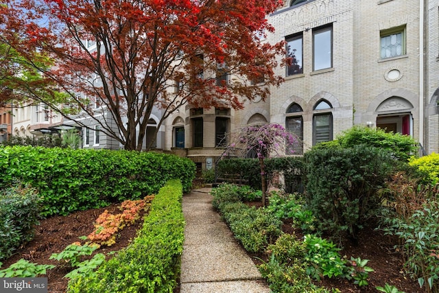 1910 Biltmore St NW Unit 2, Washington, DC 20009 - view of community