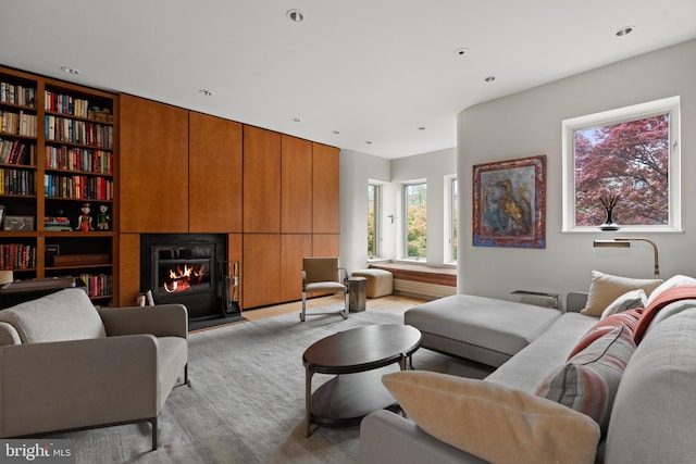 1910 Biltmore St NW Unit 2, Washington, DC 20009 - living area featuring wood finished floors, a lit fireplace, built in shelves, and recessed lighting