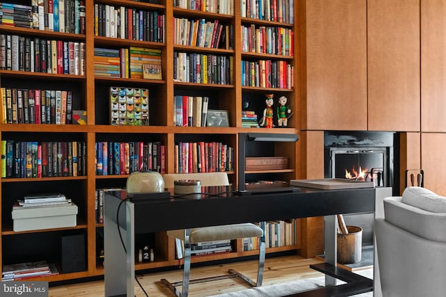 1910 Biltmore St NW Unit 2, Washington, DC 20009 - living area featuring bookshelves, wood finished floors, and a warm lit fireplace