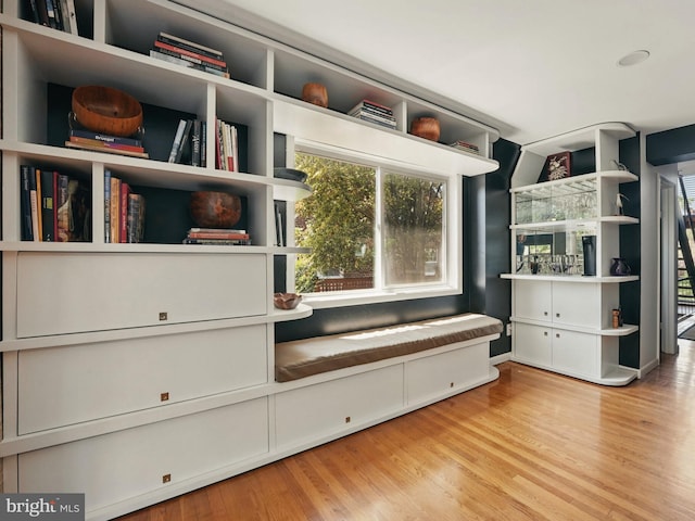 mudroom featuring wood finished floors