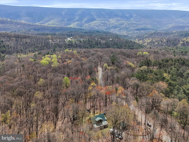 125 Rural Retreat Ln, Great Cacapon, WV 25422 - mountain view with a forest