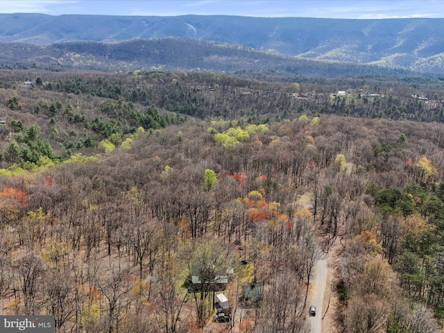 125 Rural Retreat Ln, Great Cacapon, WV 25422 - mountain view featuring a heavily wooded area