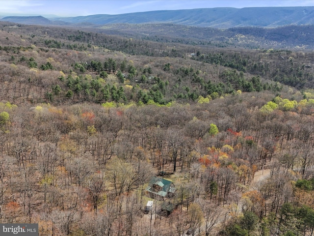 125 Rural Retreat Ln, Great Cacapon, WV 25422 - view of mountain background with a forest