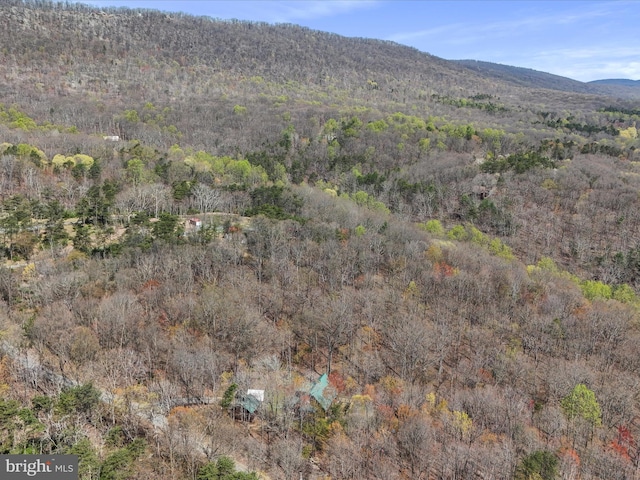 125 Rural Retreat Ln, Great Cacapon, WV 25422 - view of mountain background with a heavily wooded area