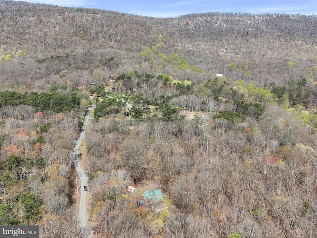 125 Rural Retreat Ln, Great Cacapon, WV 25422 - view of mountain background featuring a heavily wooded area