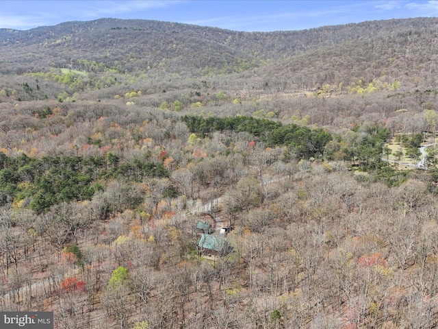 125 Rural Retreat Ln, Great Cacapon, WV 25422 - view of mountain backdrop with a forest