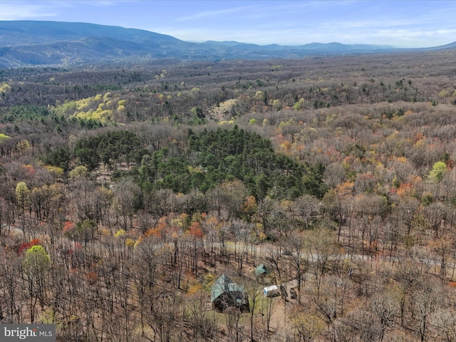125 Rural Retreat Ln, Great Cacapon, WV 25422 - view of mountain backdrop with a forest