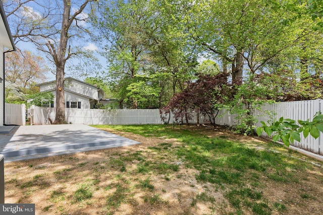 view of yard featuring a fenced backyard and a patio area