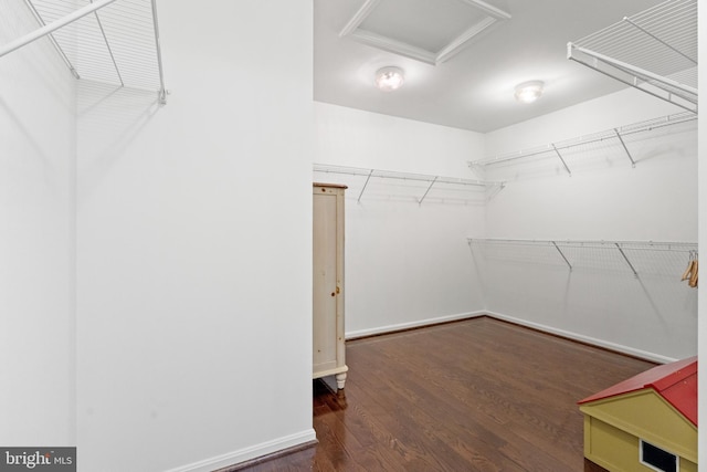 42364 Winsbury W Pl, Sterling, VA 20166 - walk in closet featuring attic access and wood finished floors