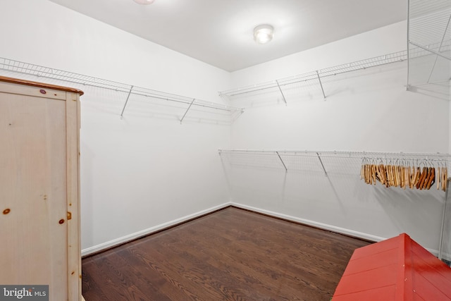 42364 Winsbury W Pl, Sterling, VA 20166 - spacious closet with wood finished floors