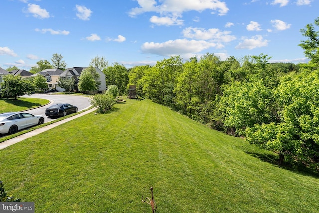 42364 Winsbury W Pl, Sterling, VA 20166 - view of grassy yard