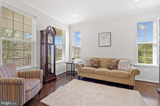 42364 Winsbury W Pl, Sterling, VA 20166 - living area featuring ornamental molding, dark wood finished floors, baseboards, and recessed lighting