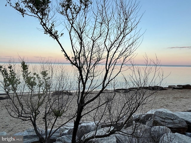 property view of water