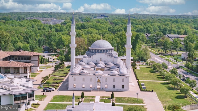 bird's eye view with a view of trees