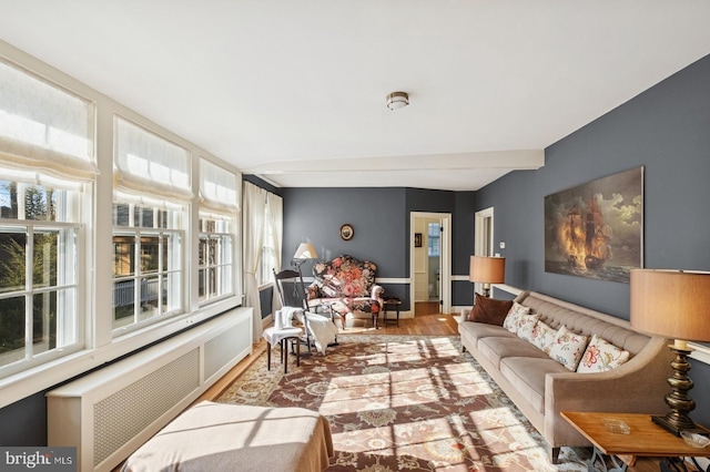 living room with radiator, baseboards, and wood finished floors