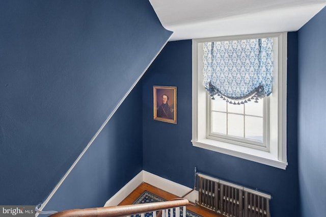 bonus room featuring baseboards, radiator heating unit, and wood finished floors