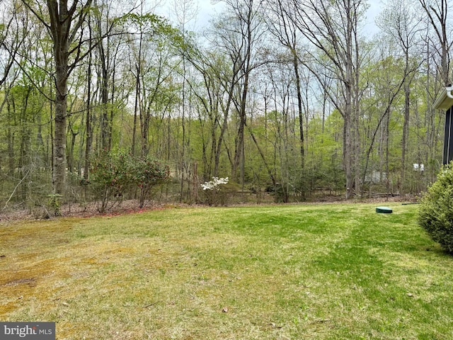view of yard with a forest view