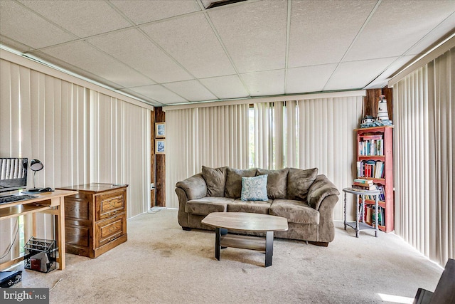 carpeted living area featuring a drop ceiling
