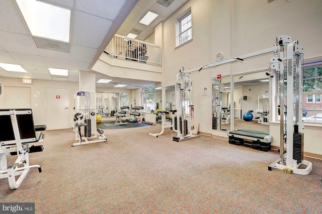 workout area with carpet flooring, a drop ceiling, plenty of natural light, and a towering ceiling