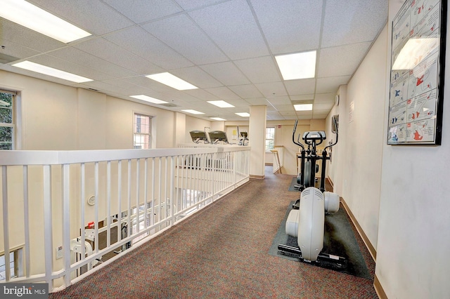 exercise room with a paneled ceiling, carpet floors, plenty of natural light, and baseboards